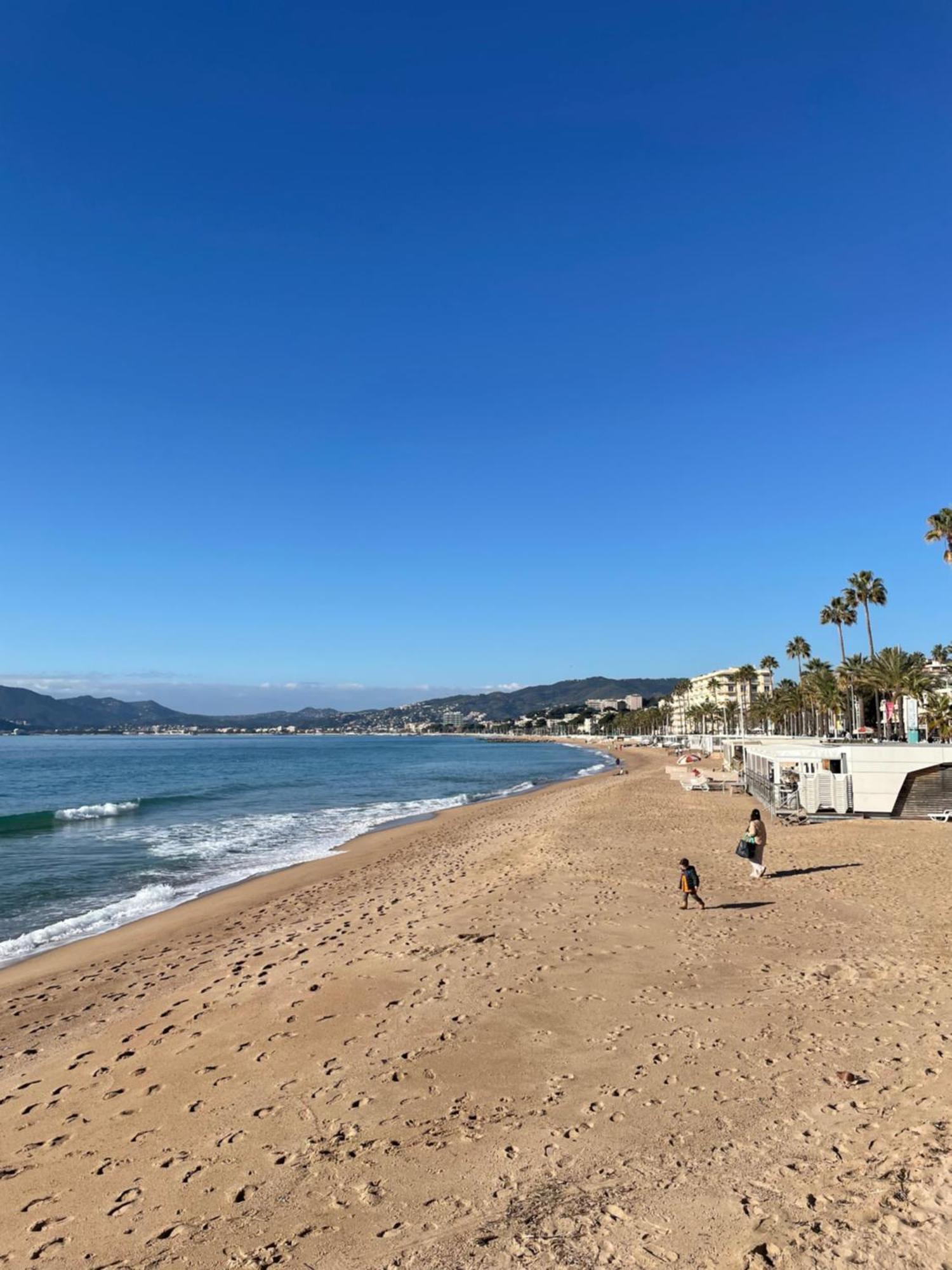 Le Week Riviera III -3 Etoiles-Plage Du Midi-Grande Terrasse-Piscine-Cannes- Palais Des Festivals 외부 사진